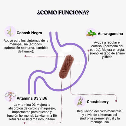 Multivitamínico para la menopausia MENO™ 60 Capsulas